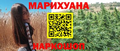 МДПВ Пенза