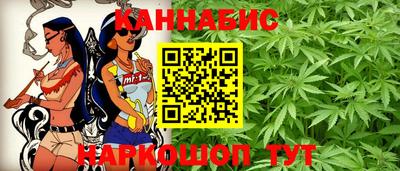МДПВ Пенза