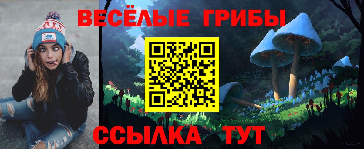 Псилоцибиновые грибы Psilocybe  Галлюциногенные грибы прущие грибы  Вход с VPN  Сунжа 